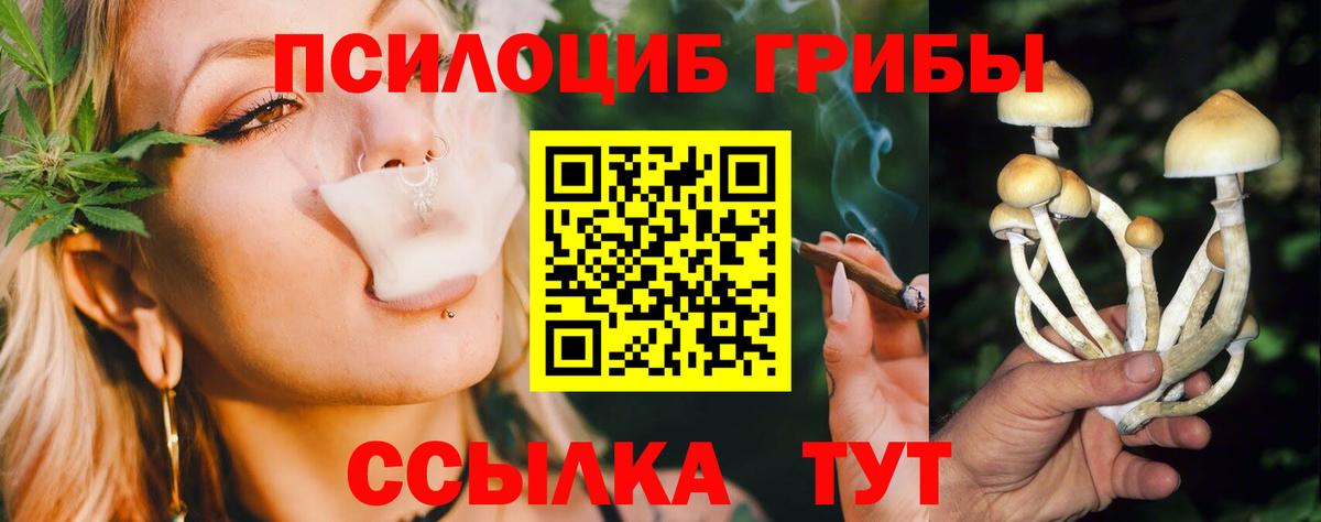 Галлюциногенные грибы Psilocybe  Вход с VPN  купить закладку  Галлюциногенные грибы Psilocybe  Кузнецк 